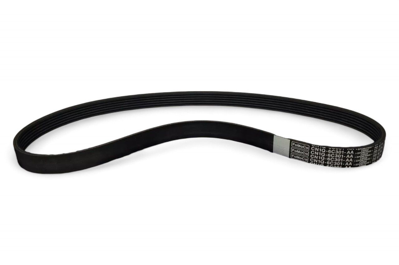 Ford V Belt CN1Z8620B