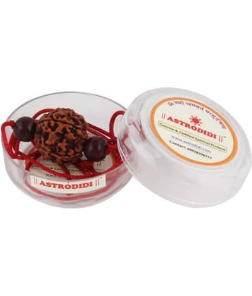 Astrodidi 6 Mukhi Rudraksha With Red Chandan Beads