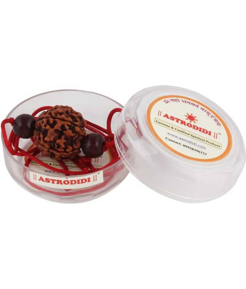 Astrodidi 6 Mukhi Rudraksha With Red Chandan Beads