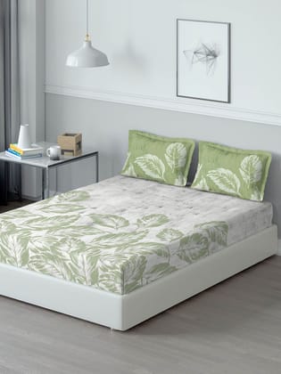 DDecor 100% Combed Cotton Super King Bedsheet with 2 Pillow Covers | Leaves 150TC | Soft & Comfortable | Perfect for Everyday Bedroom Use | Cherish Collection | 274 CM X 274 CM