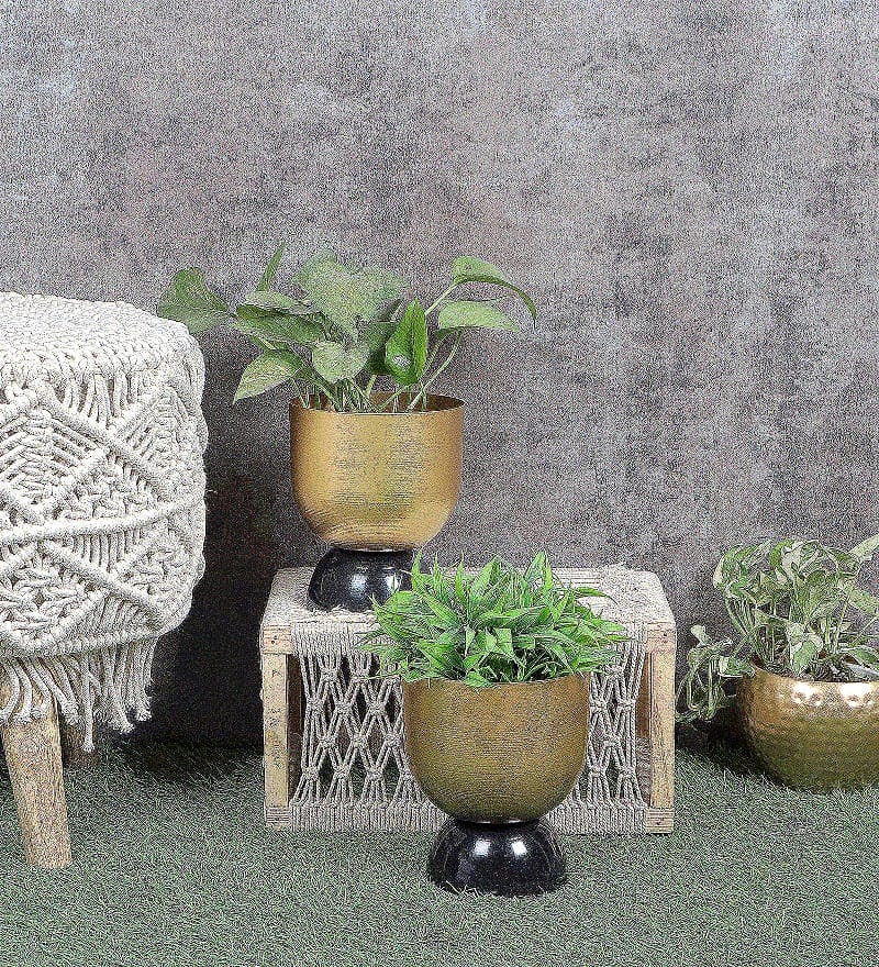 Black & Gold Double Layer Hammered Apple Planter Set of 2