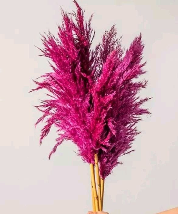 Artificial Dry Flowers 10 Sitck Home Decorartificial Dry Flowers