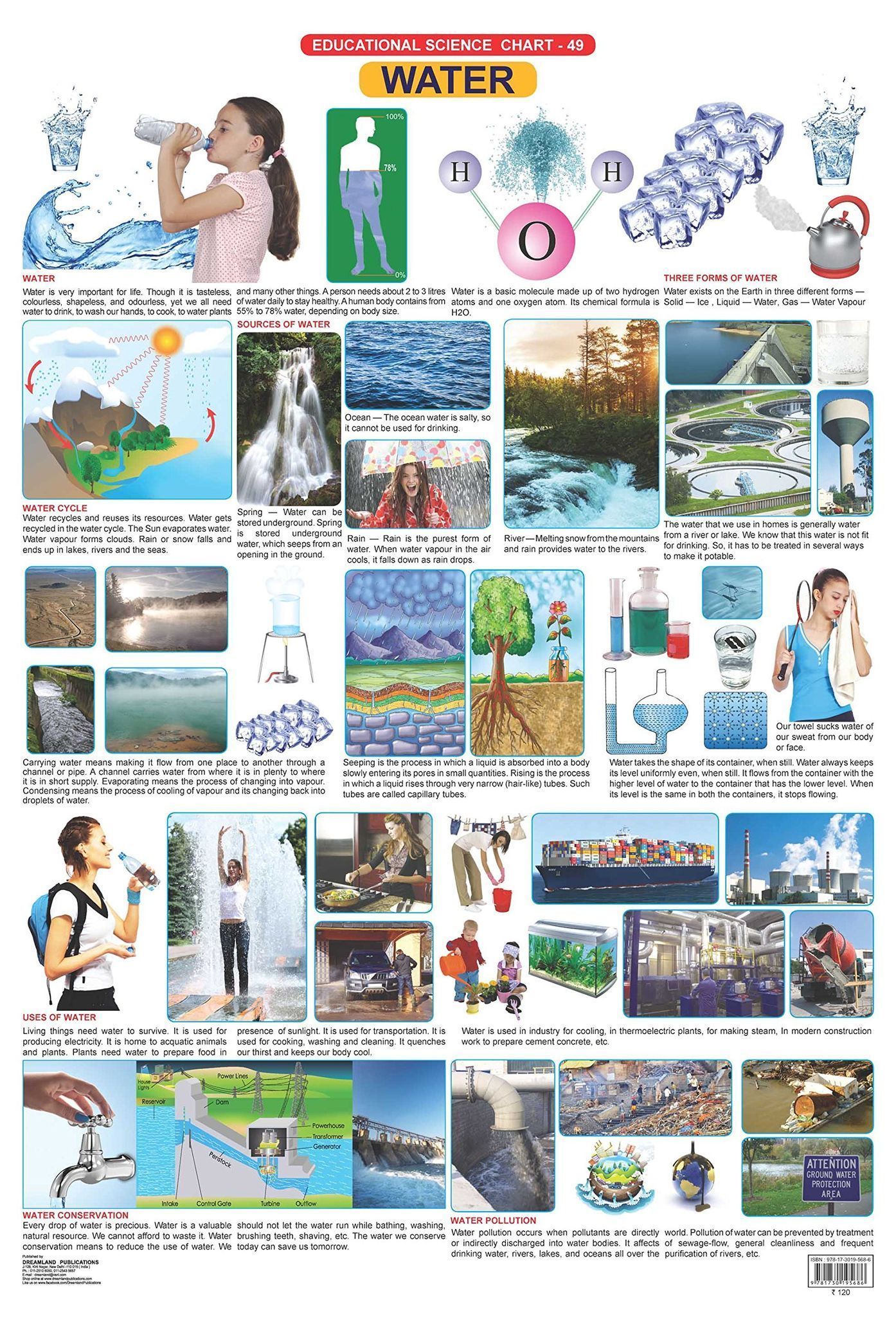 Water Wall Chart (Science Chart) - Both Side Hard Laminated (Size 48 x 73 cm) [Unknown Binding] NA
