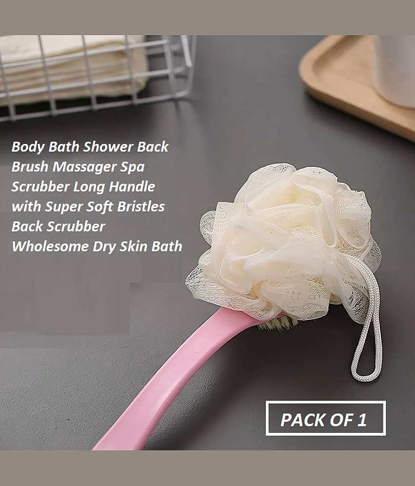 Generic Organic Long Handle Men & Women Body Brush ( Pack of 1 )
