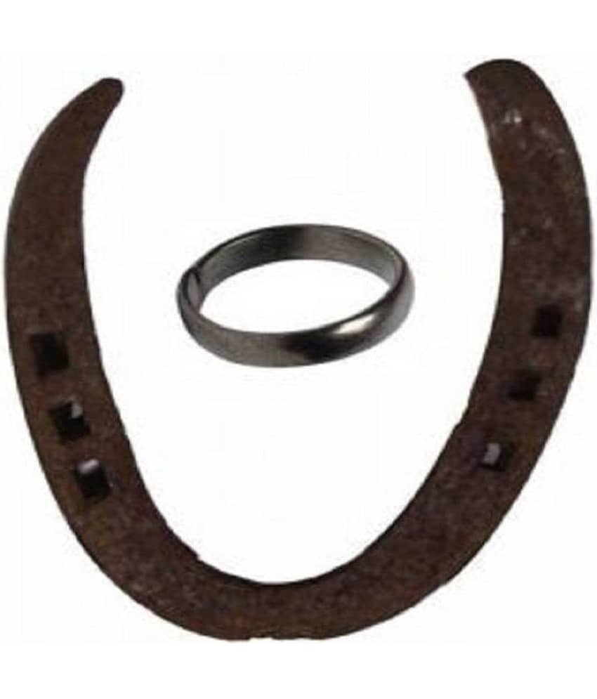 Shri Astha Vinayak - Iron Ghode Ki Naal (Pack of 1)