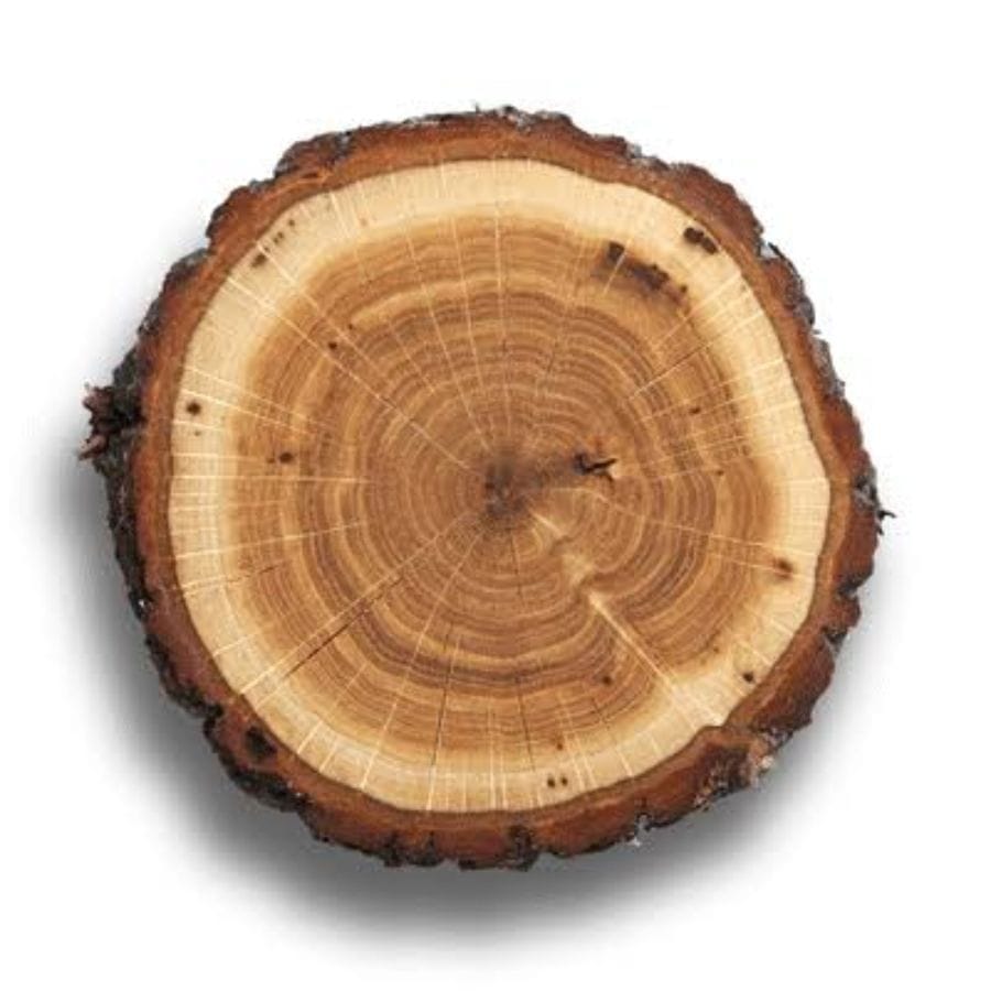 Natural Rustic Wooden Decorative Slice