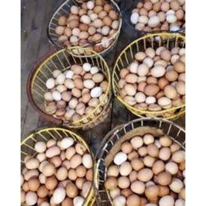 Farm Fresh Brown Eggs - 600 gm - One dozen eggs