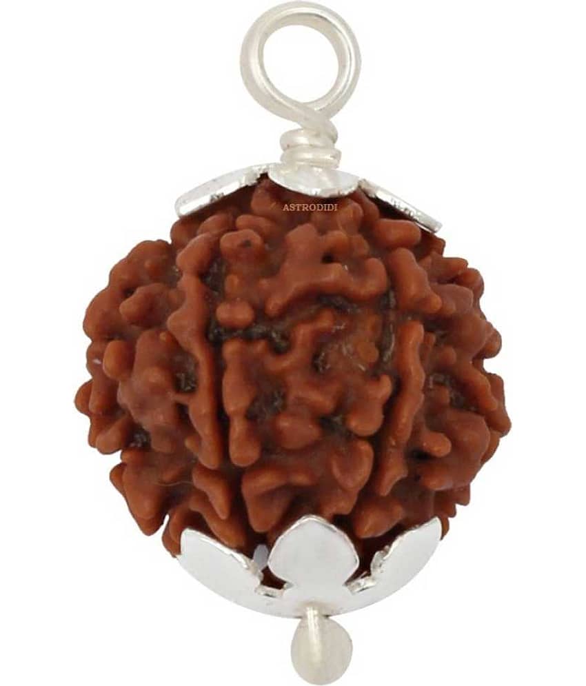 Astrodidi 5 Mukhi Rudraksha Pendant With Lab Certificate