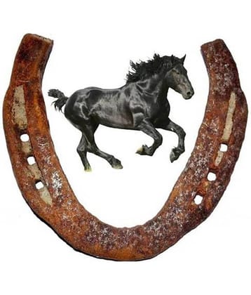 Shri Astha Vinayak Iron Horse Shoe Ring