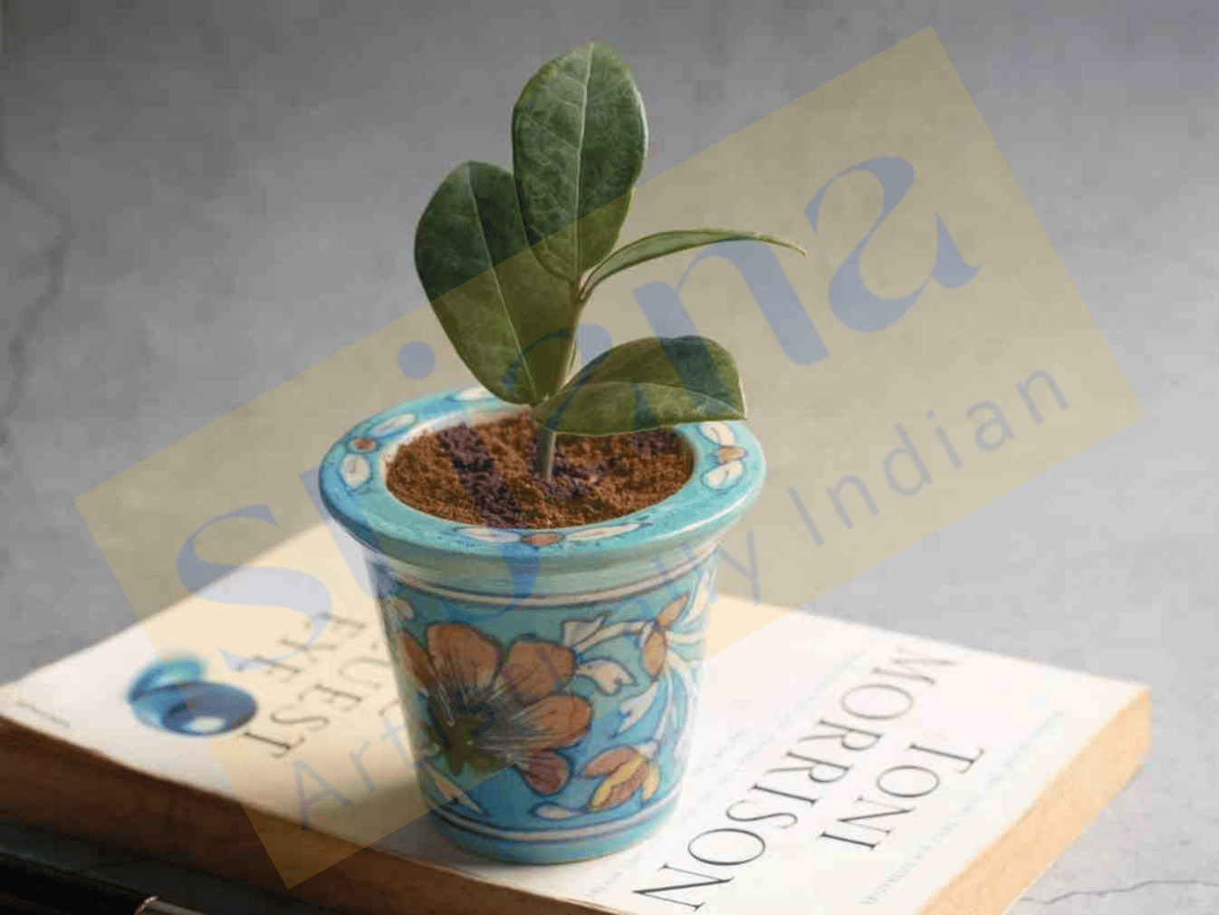 Srjana Handcrafted Blue Pottery Planter 1pc