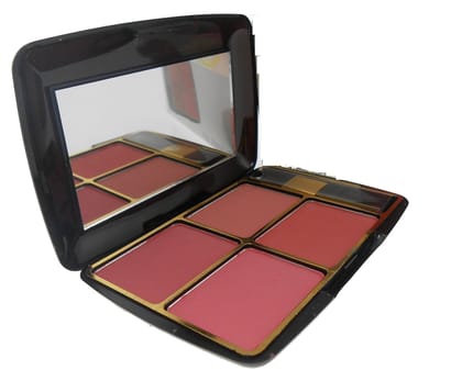 Elecsera 4 in 1 Amezing Blusher Palette (Multi)