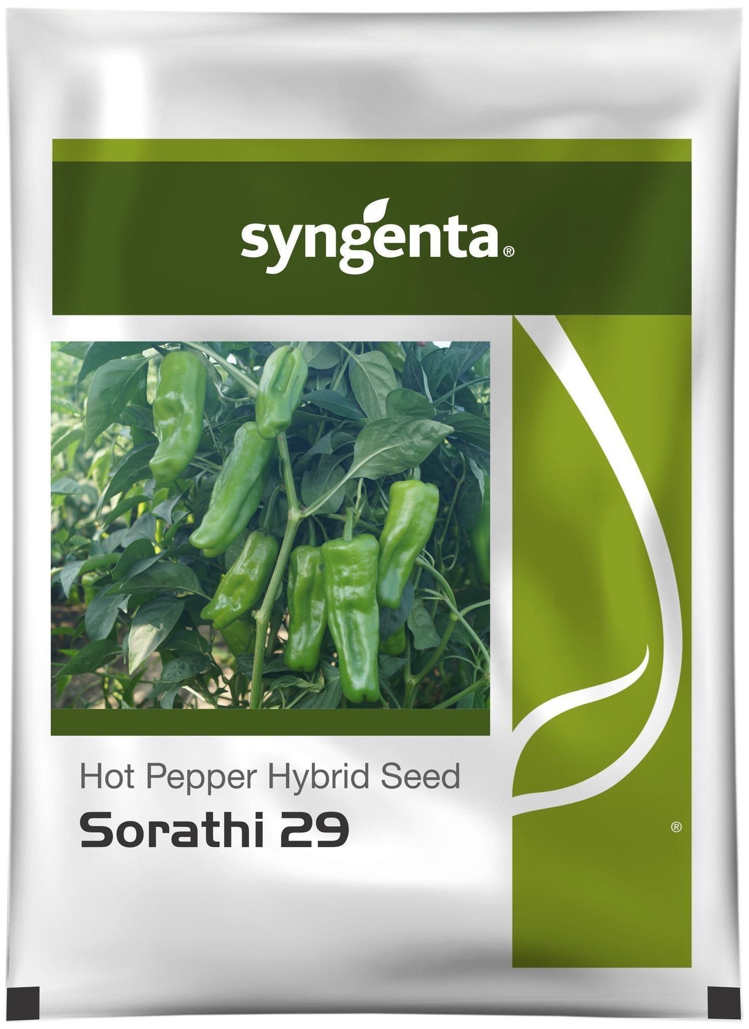 SORATHI 29