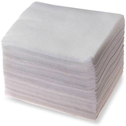 Elecsera Dry Tissue Paper (13 * 11 inch) (100 Tissues)
