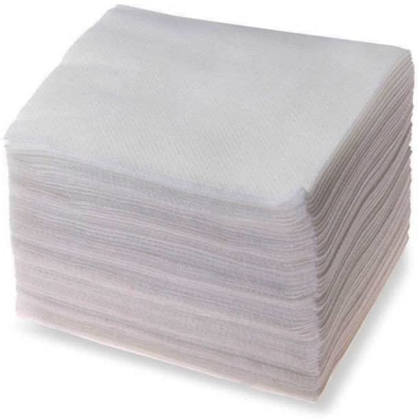 Elecsera Dry Tissue Paper (13 * 11 inch) (100 Tissues)
