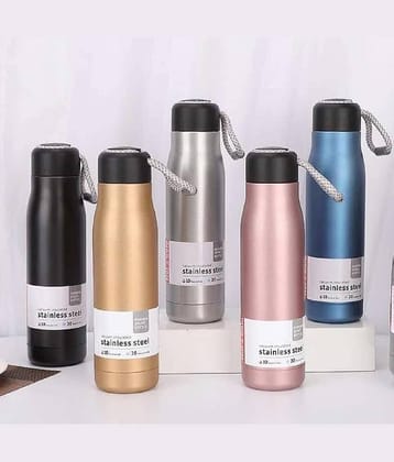BD Stainless Steel Water Bottle with Rope Handle Assorted Stainless Steel Water Bottle 500 mL ( Set of 1 )