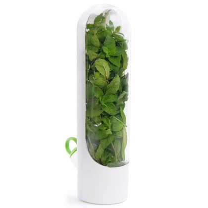 PANCHHI STORE Abs 1Pcs Herb Saver For Refrigerator, Herb Saver Pod, Vegetable Preservation Bottle For Mint, Parsley, Asparagus, Keeps Greens Fresh For 2-3 Weeks (1Pcs) PANCHHI STORE Abs 1Pcs Herb Saver For Refrigerator, Herb Saver Pod, Vegetable Preservation Bottle For Mint, Parsley, Asparagus, Keeps Greens Fresh For 2-3 Weeks (1Pcs)