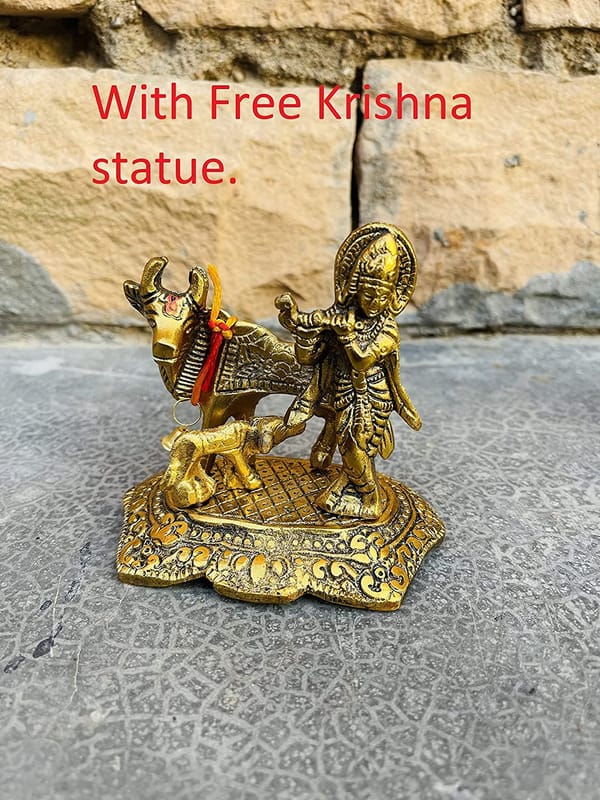 ... ...