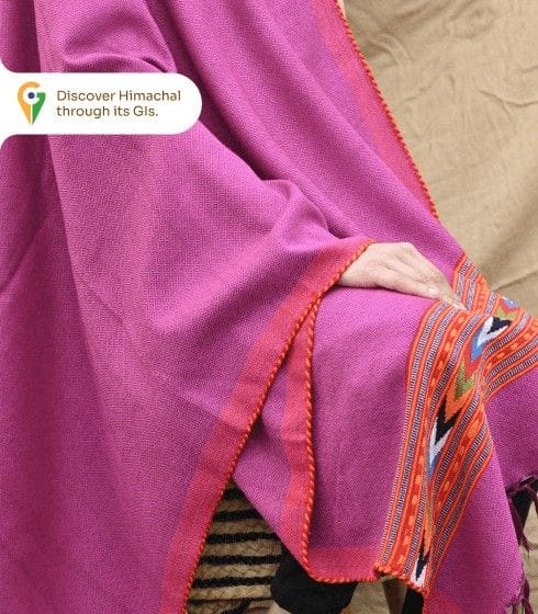Himachali Pure Kullu Handloom Stole – Magenta, Handcrafted Winter Elegance
