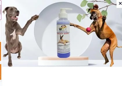 SWACCH Premium Shampoo for Great DANE (200ML) Lavender