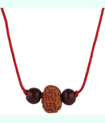 Astrodidi 8 Mukhi Indonesian Java Rudraksha (Small Size) With Red Chandan Beads