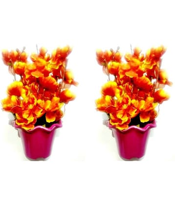 Green plant indoor Orchids Orange Flowers With Pot - Pack of 2