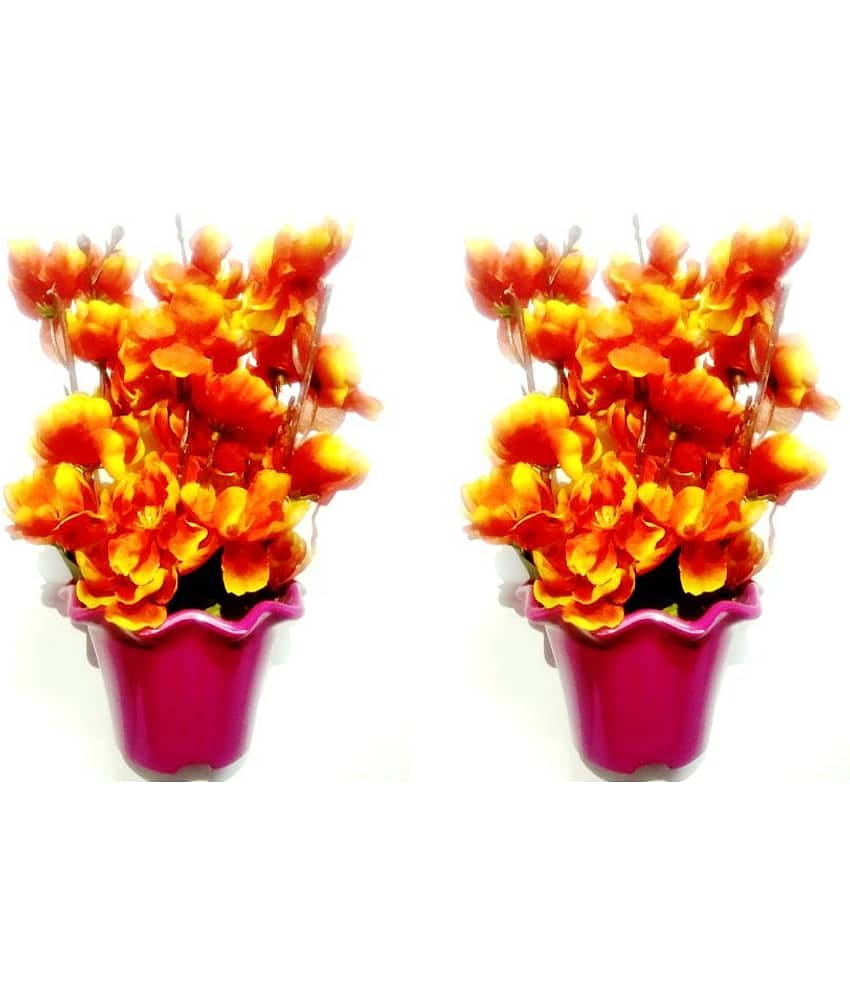 Green plant indoor Orchids Orange Flowers With Pot - Pack of 2