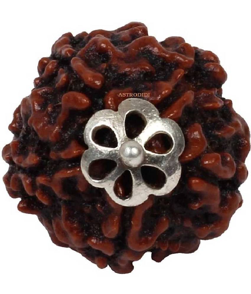 Astrodidi 5 Mukhi Rudraksha Pendant With Lab Certificate