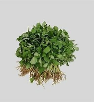 Methi Bunch - Methi Patta - Methi Paan - Fenugreek leaves - 1 Bunch