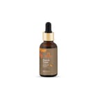 ... ...