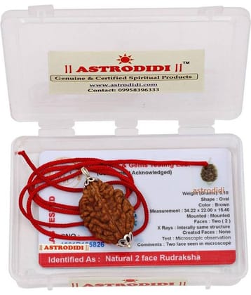 Astrodidi 2 Mukhi Rudraksha Pendant With Lab Report