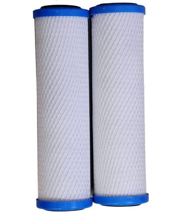 RO Service RO CTO 10" Cartridge