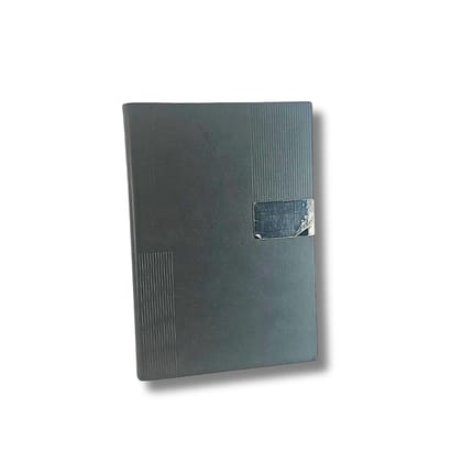 Professional Diary 2582 Black MRP 599