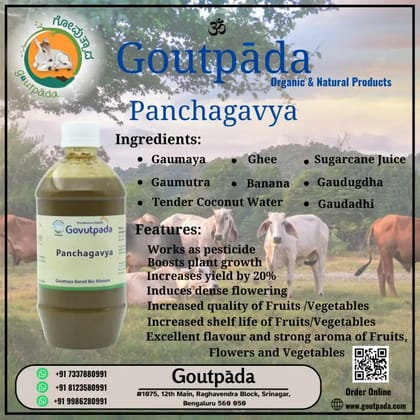 Panchagavya 500 ML Panchagavya 500 ML