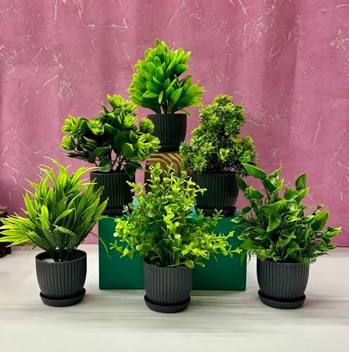 Dekorly 6 Packs Fake Plants Small, Mini Artificial Plants Indoor For Home Farmhouse Bathroom Shelf Décor (Height :