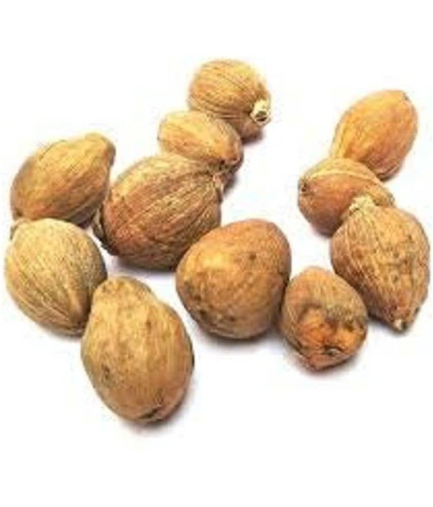 OMLITE - Iron Laghu Nariyal (Pack of 5)