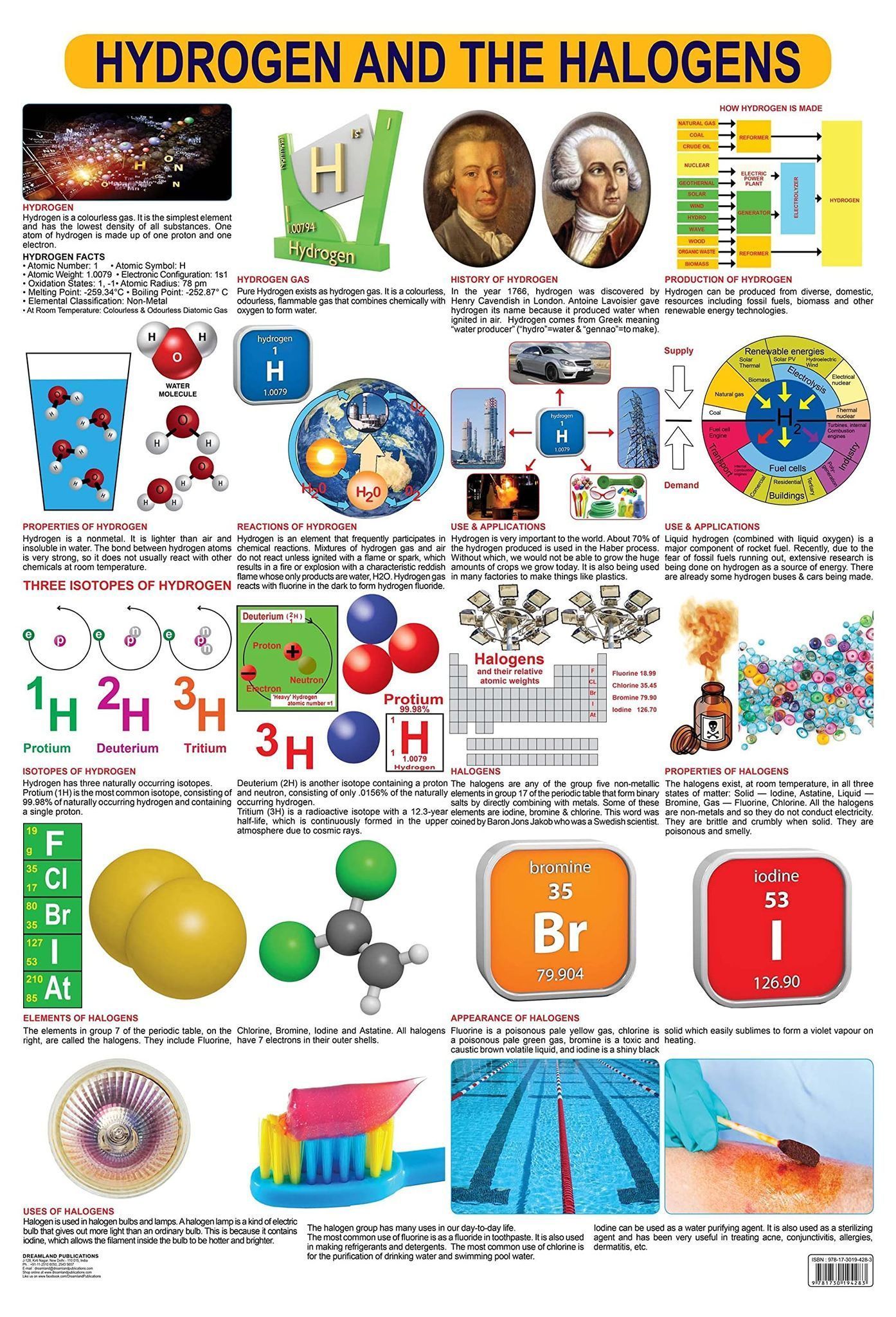 Hydrogen & the Halogens Wall Chart (Science Chart) - Both Side Hard Laminated (Size 48 x 73 cm) (Science Charts) [Wall Chart] Dreamland Publications