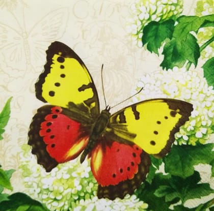 Decoupage Napkin / Tissue papers - GT1032