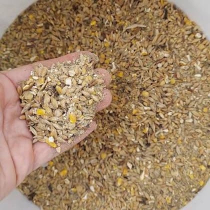 Balanced Cattle Feed Blend - 50 kg - One 50kg bag