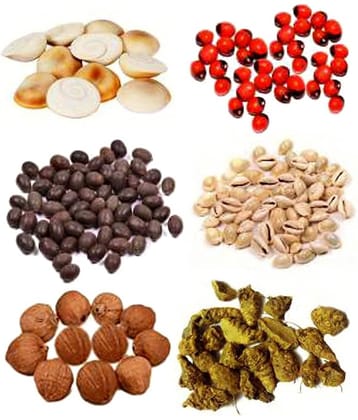 SHIVSHAKTI Pooja Kit Diwali Pooja Wooden, Stoneware ( Pack of 1 )