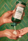 ... ...