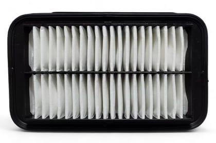 Uno Minda Air Filter AF4069PM