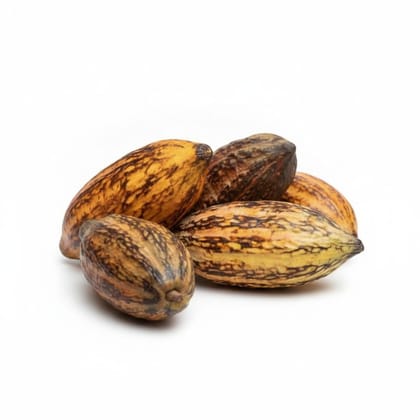 Raw Organic Cocoa Pods - 1 kg - One bundle of cocoa pods