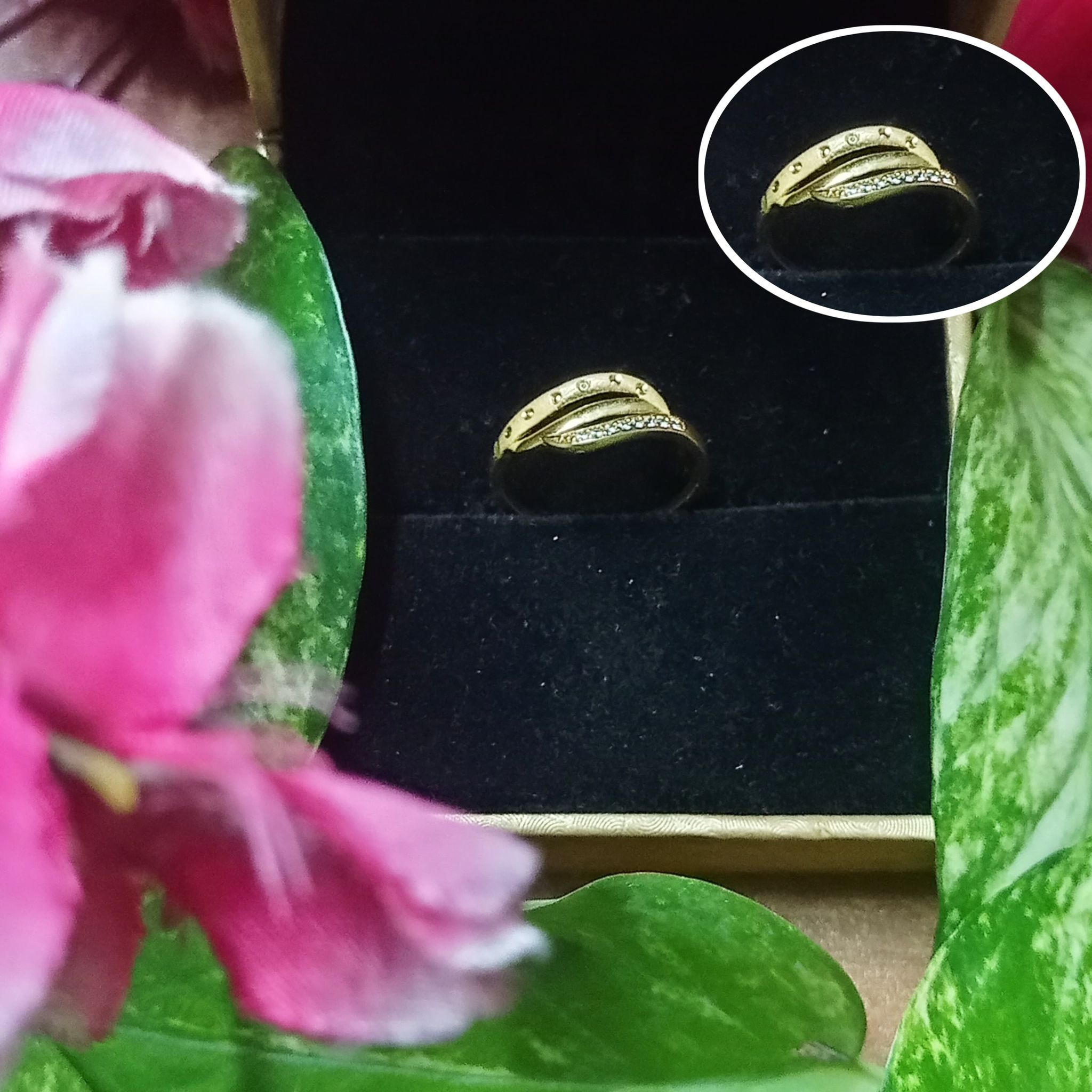 Nature-Inspired Gold Plated Ring for Women – Elegant Leaf Design, Adjustable Fit, New