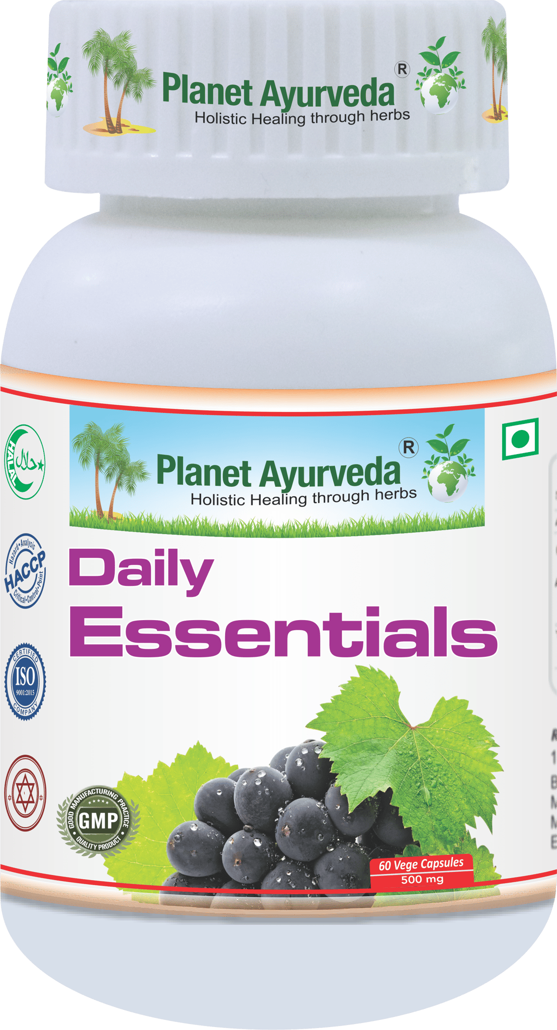  Planet Ayurveda Daily Essentials - 60 Vegetarian Capsules 500mg - Supports Overall Health and Well-being