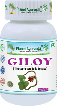 Planet Ayurveda Giloy (Tinospora Cordifolia Extract) 60 Veg Capsules 500mg Planet Ayurveda Giloy (Tinospora Cordifolia Extract) 60 Veg Capsules 500mg