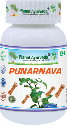  Planet Ayurveda Punarnava 60 Capsules 500mg - Pure & Natural Punarnava Extract - Supports Kidney Function, Reduces Inflammation, and Promotes Overall Health