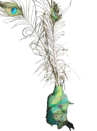 Unique Hand-Painted Vase with Peacock Feather Unique Hand-Painted Vase with Peacock Feather