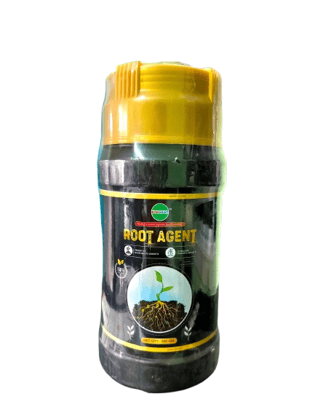 BISHMUKT Root Agent - Natural Plant Growth Promoter, 100% Organic, 500 Gm BISHMUKT Root Agent - Natural Plant Growth Promoter, 100% Organic, 500 Gm