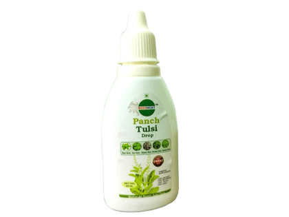 BISHMUKT Panch Tulsi Drop - Boost Immunity, Digestion, and Overall Health Naturally BISHMUKT Panch Tulsi Drop - Boost Immunity, Digestion, and Overall Health Naturally