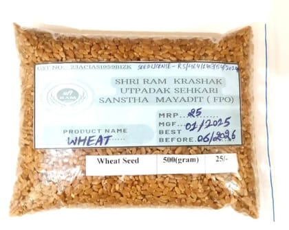 Wheat Seeds Wheat Seeds